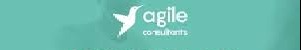Agile Consultants background
