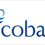 Cobalt Abu Dhabi