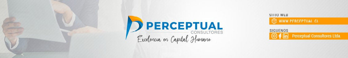Perceptual Consultores background