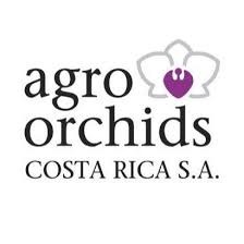 Agro Orchids