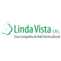 Linda Vista S.R.L