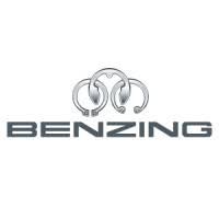 Hugo Benzing GmbH & Co KG