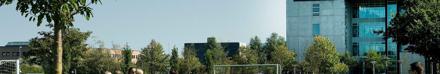 Aalborg Universitet (AAU) background