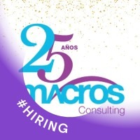 Macros Consulting