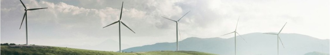 CELSA GROUP background