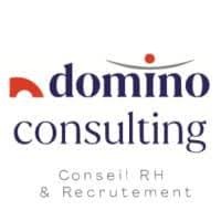 Domino Consulting