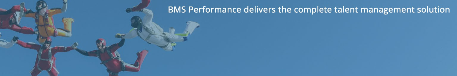 BMS Performance Ltd background