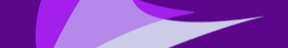 Bright Purple background
