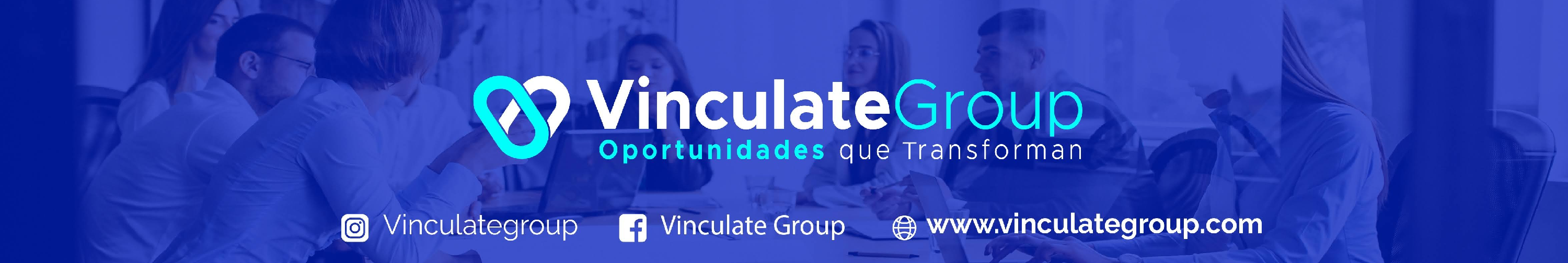 vinculate group background