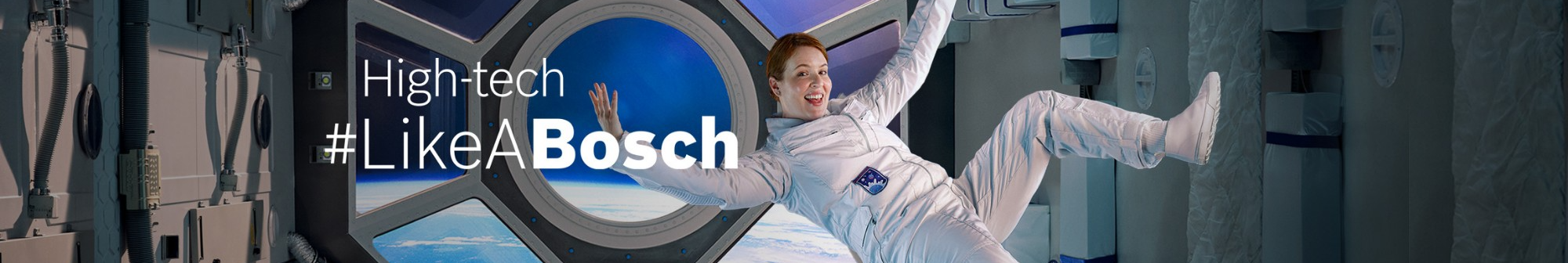 Bosch Global Software Technologies background
