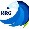 KRG Strategy Consultants Private Limited