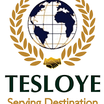 Tesloye consultancy services