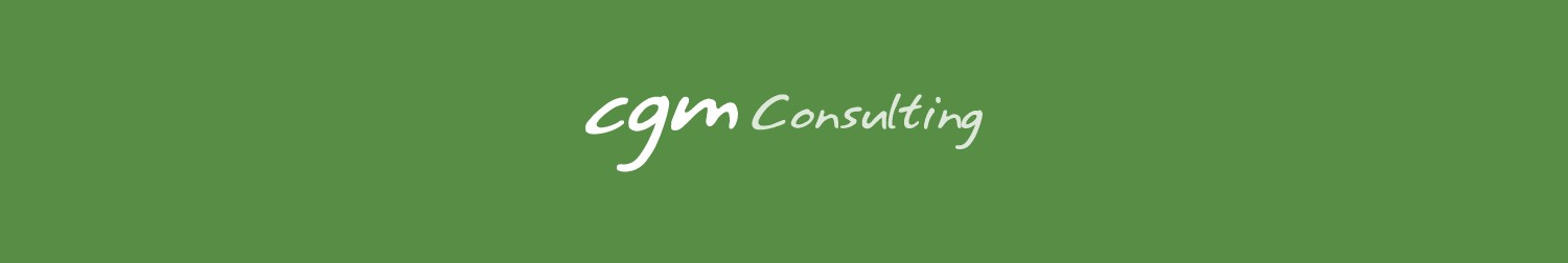 CGM Consulting S.r.l. background