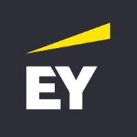 Ernst & Young Advisory Services Sdn Bhd