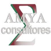 AMYAConsultores