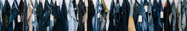 Levi Strauss & Co background
