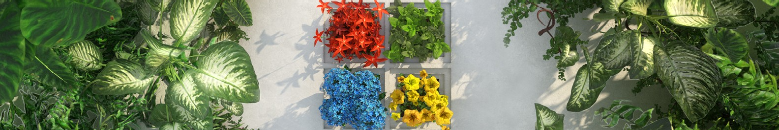 Microsoft background