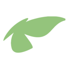 Vegro Verpleegartikelen BV