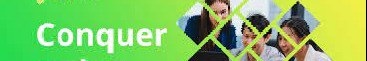 Sapient Global Services background