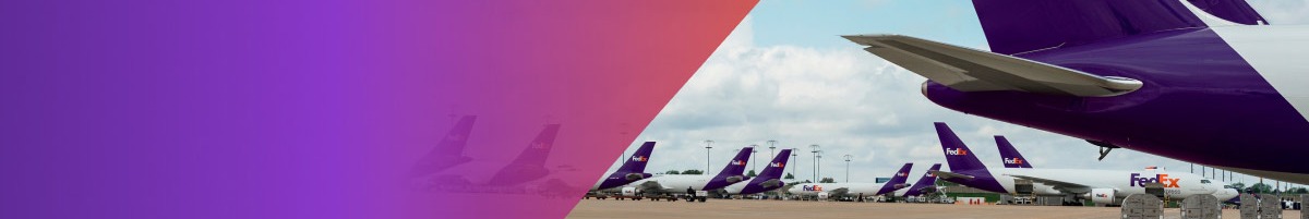 FedEx Inc. background