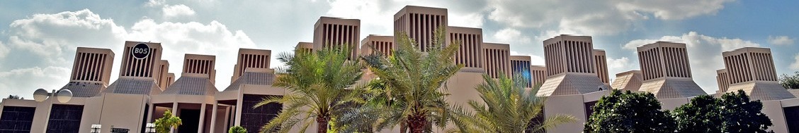 Qatar University background