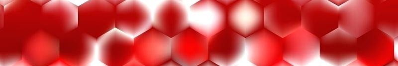 Allied Staff Augmentation Partners, Inc. ( ASAP, Inc. ) background