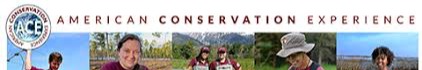 American Conservation Experience background