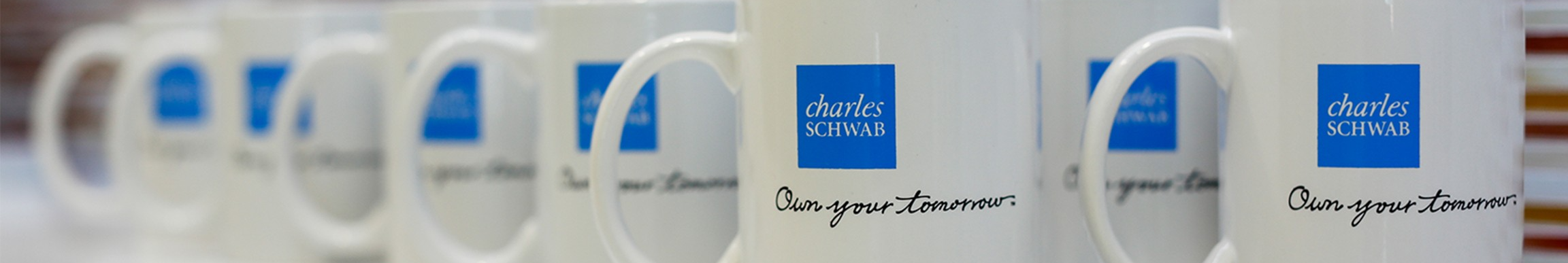 Charles Schwab background
