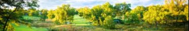 Meadowbrook Country Club background