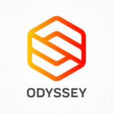Odyssey Systems Consulting Group, Ltd.