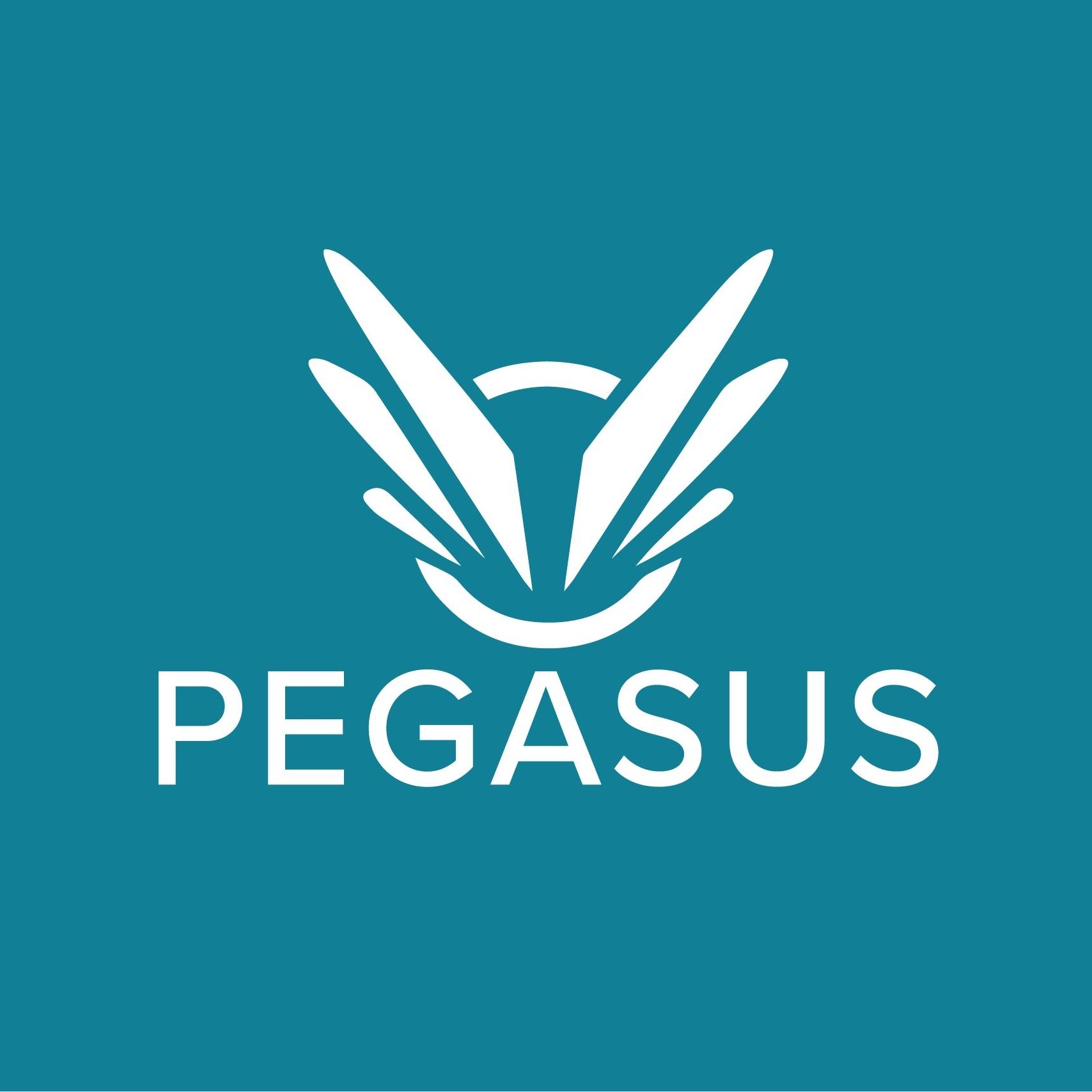 Pegasus Recovery Solutions