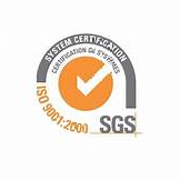 SGS Group LLC