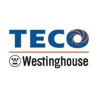 TECO Westinghouse