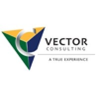 Vector Consulting LLC Defunct