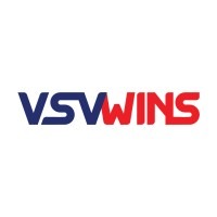 VSV WINS INC