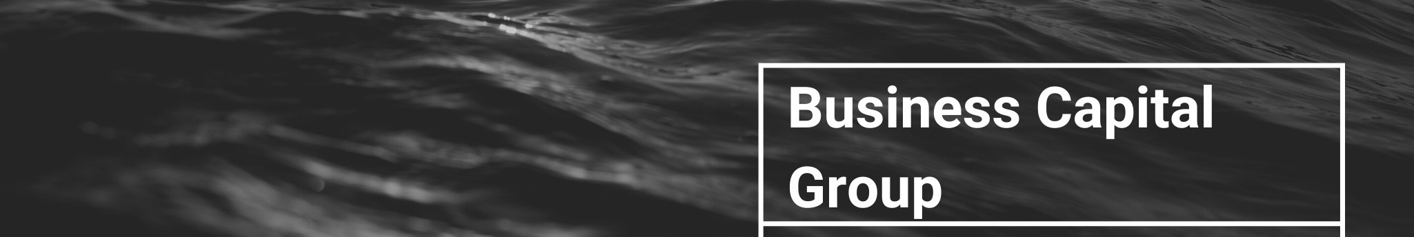 Business Capital Group background