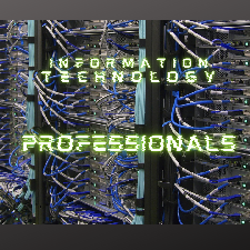 Information Technology Professionals