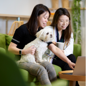 Real Pet Food Company