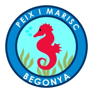 Peix i marisc Begonya