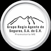 Grupo Regio Agente de Seguros