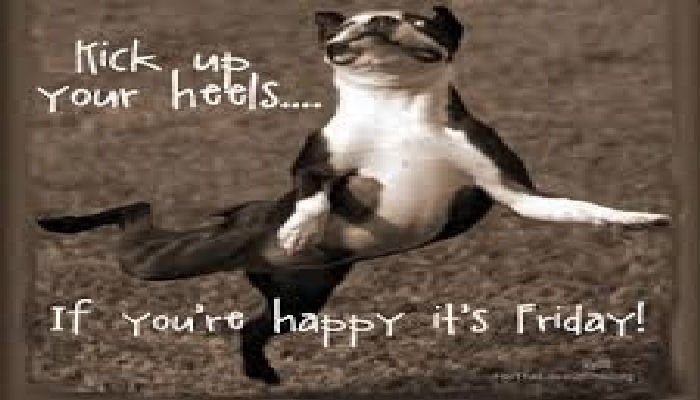 (a ~
hor hebls..

Cr

NE

4 ES

If ‘rou're happy i's Friday!
