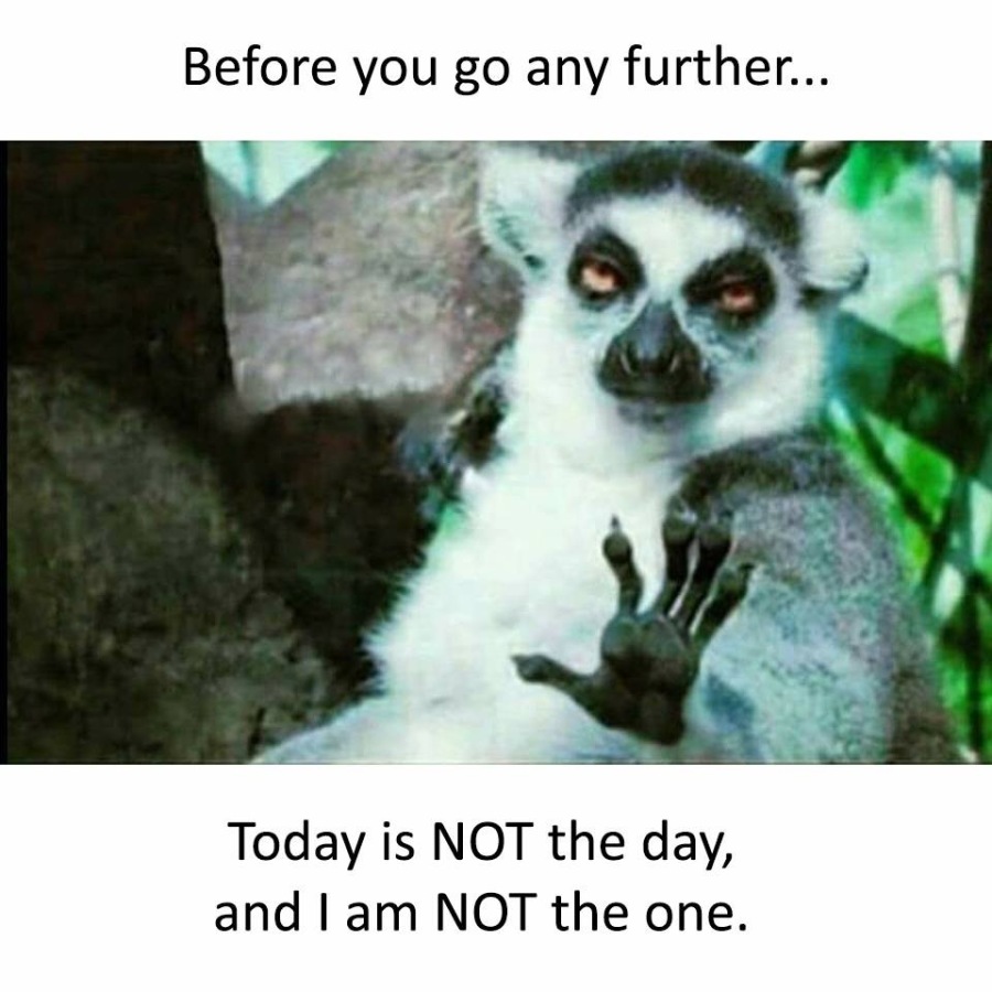 Before you go any further...

 

Today is NOT the day,
and | am NOT the one.
