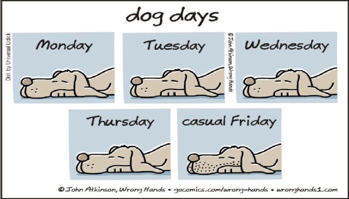 dog days
| Monday Tuesday ; Wednesday

eC! eC

Thursday casual Friday