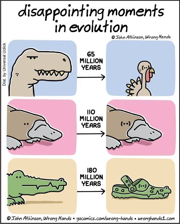 disappointing moments
in evolution

MILLION
YEARS

—>

2
fe =

© John Atkinson, Wrong Hards = qocomics.comlrong-hands  wrorghardsi.com