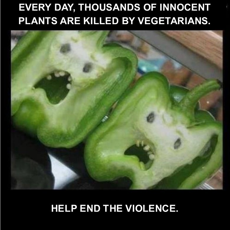 EVERY DAY, THOUSANDS OF INNOCENT
PLANTS ARE KILLED BY VEGETARIANS.

HELP END THE VIOLENCE.
