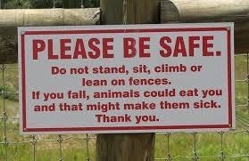 PLEASE BE SAFE. ||

Do not stand, sit, climb or
lean on fences.
1 you tail, animals could eat you
and that might make tham sick.
Thank you.