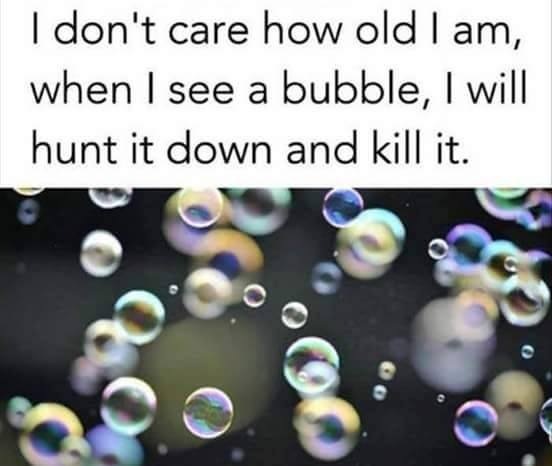 | don't care how old | am,
when | see a bubble, | will
hunt it down and kill it.