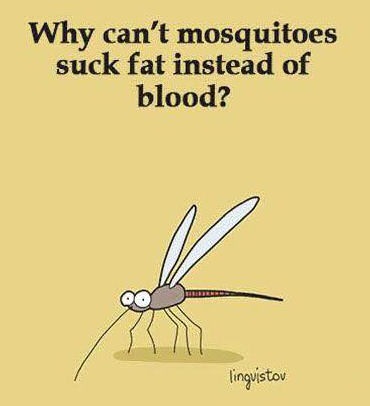 Why can’t mosquitoes
suck fat instead of
blood?

at
lingstos