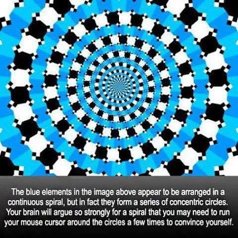 The blue elements in the image above appear to be arranged in a
continuous spiral, but in fact they form a series of concentric circles.
Your brain will argue so strongly for a spiral that you may need to run
your mouse cursor around the circles a few times 10 convince yourself.