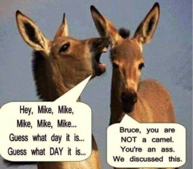 Hey, Mike, Mike,
Mike, Mike, Mike...
Guess what day it is...